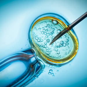 ivf process in detail