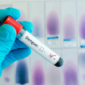 dengue symptoms