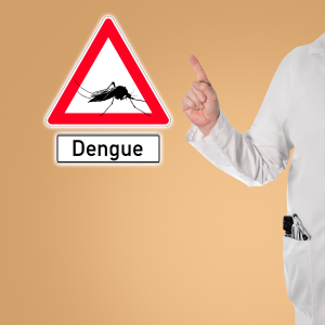 dengue fever treatment