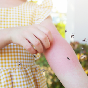 treatment of dengue