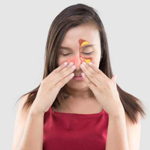 allergic rhinitis meaning in hindi