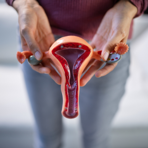 vaginal infection in hindi